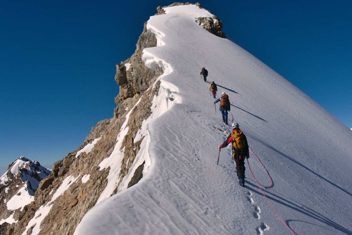 Alpines Training
